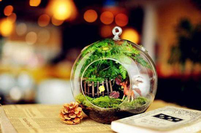 1593512190199011.png 金輝優(yōu)步學(xué)府奇趣微景觀DIY示意圖