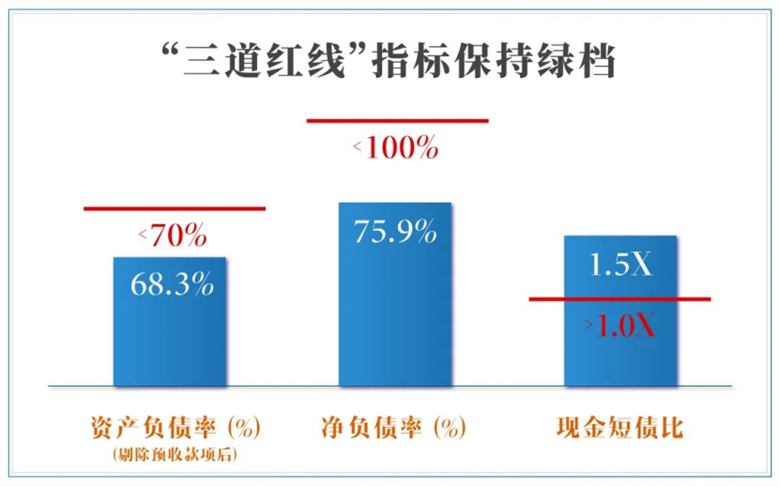 1631848169697032.jpg 6.jpg